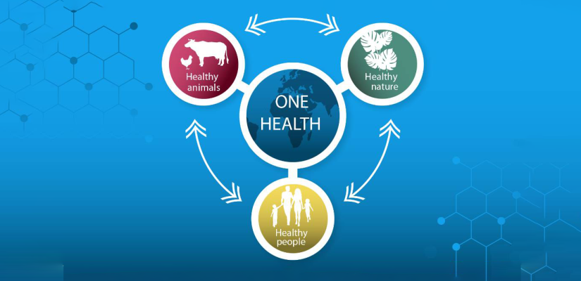 One Health Basics - GWAC